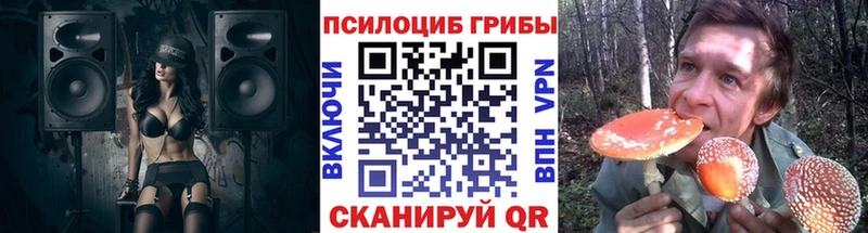Псилоцибиновые грибы Psilocybine cubensis  дарк нет наркотические препараты  Дубна  магазин продажи  