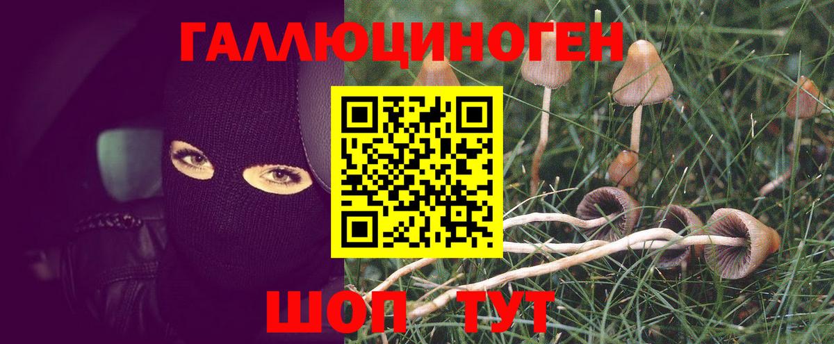 Дубна  Кокаин  Марихуана  Меф кристаллы  Вход с VPN  МАРИХУАНА 