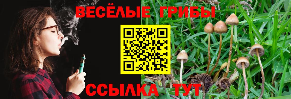 Дубна  Псилоцибиновые грибы мицелий  Псилоцибиновые грибы Magic Shrooms  Вход с VPN 
