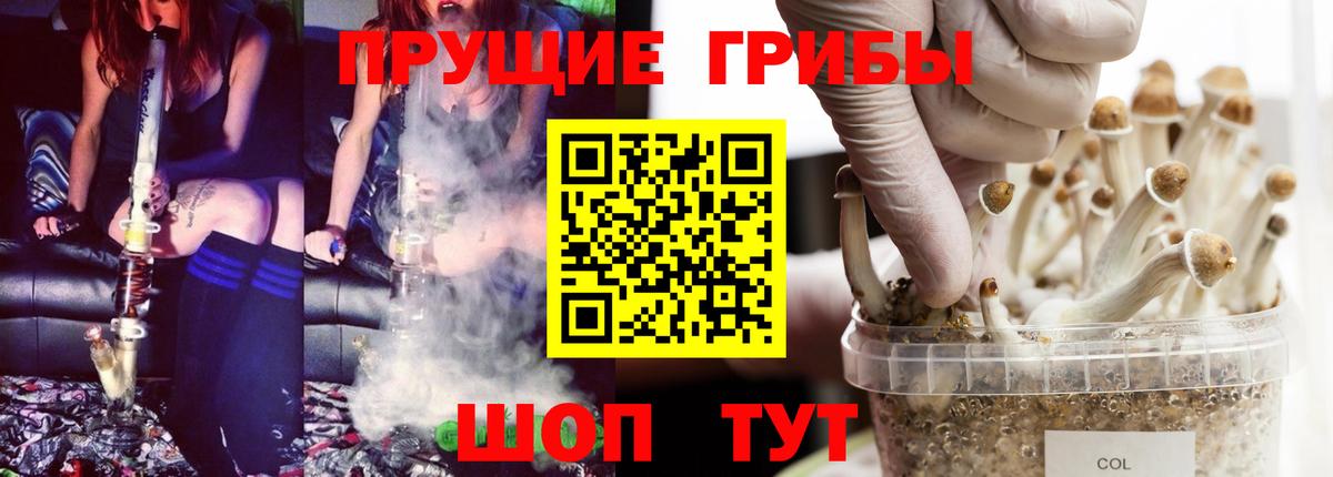 Галлюциногенные грибы прущие грибы Дубна